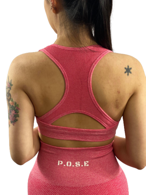 Gym Sports Bra back