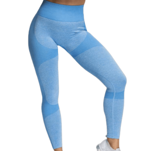 P.O.S.E Zeal Seamless Gym Leggings
