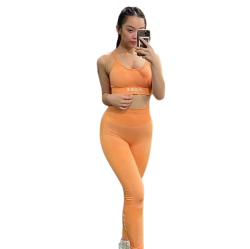 P.O.S.E Zeal Seamless Gym Leggings