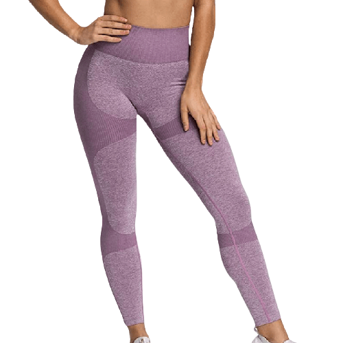 P.O.S.E Zeal Seamless Gym Leggings